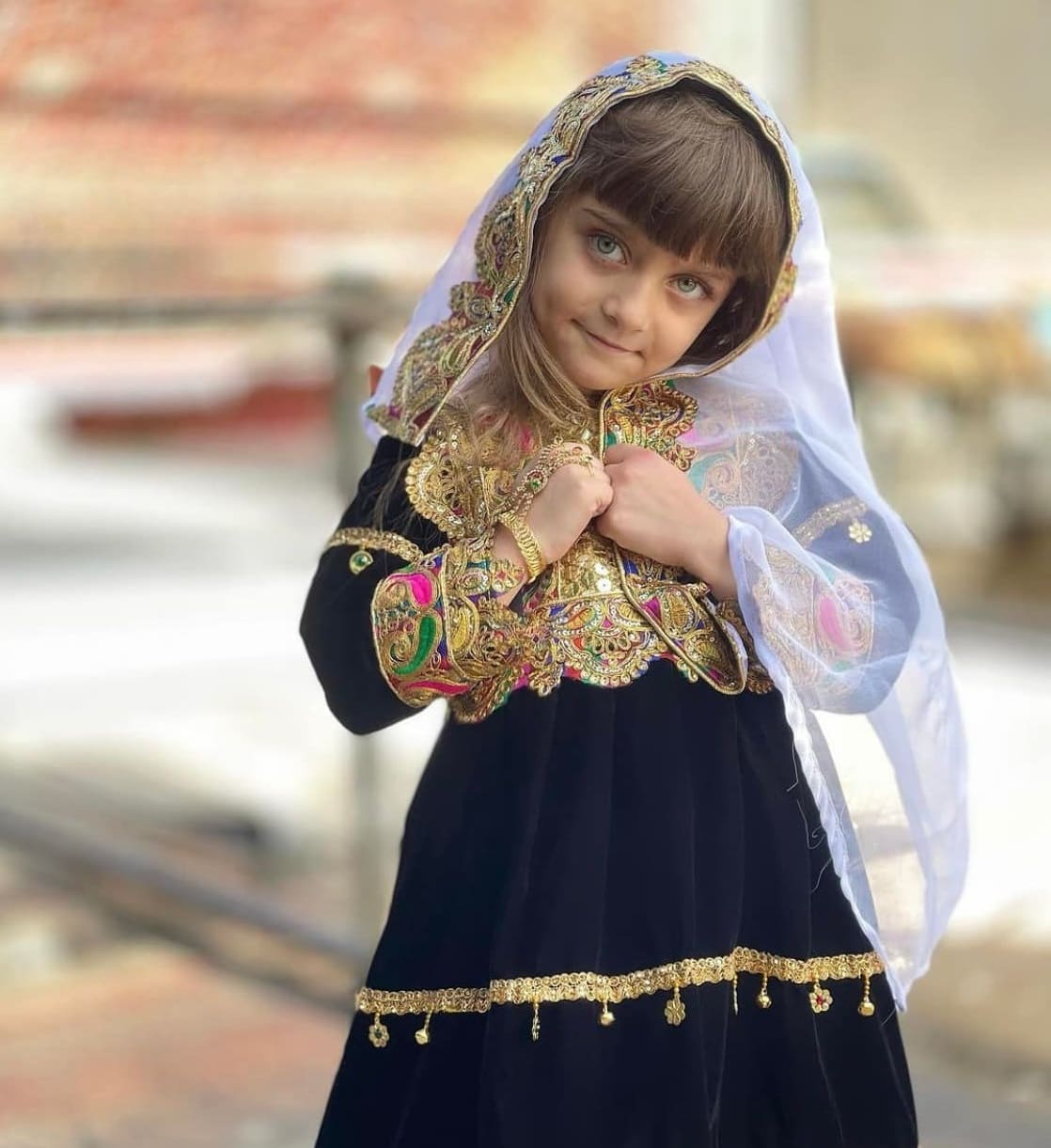 بیوگرافی اوا امیرزاده و فیلم ها